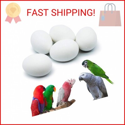 FOIBURELY 5 Pcs Solid Parrot Plastic Eggs Hatching Eggs Mini Macaw Amazon Cockat