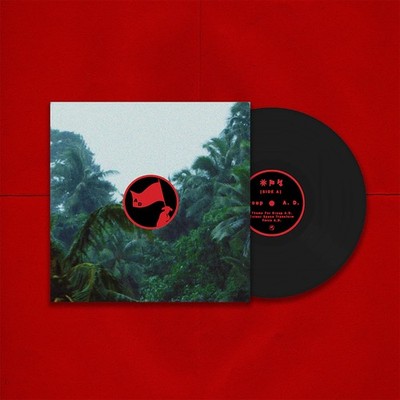 Group A.D. Colour Space Transform (Vinyl) 12'' EP