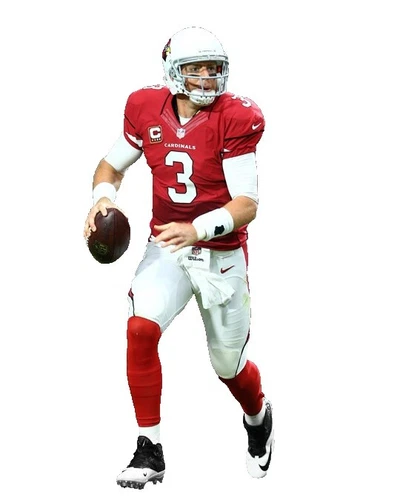 Carson Palmer NFL Photos