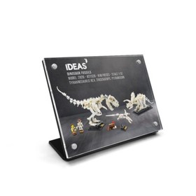 #21320 Dinosaur Fossils - Classic Display Plaques