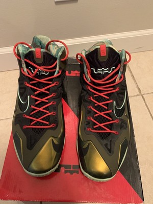 lebron 12 kings pride