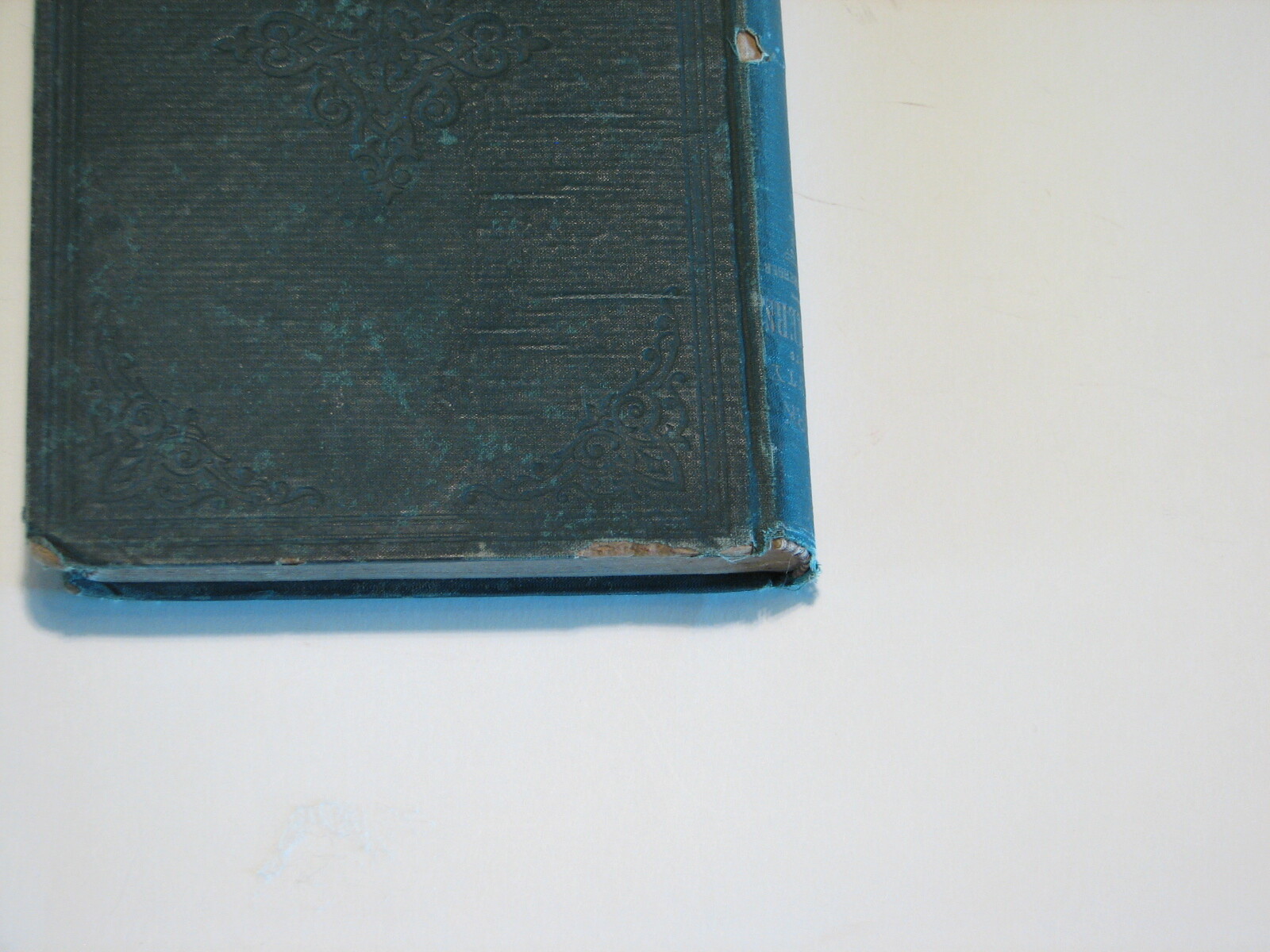 Picture 7 of 7