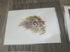 Picture 12 of 16