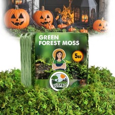 Green Forest Moss for Crafts, Real Dried Decorative Moss, 5 oz