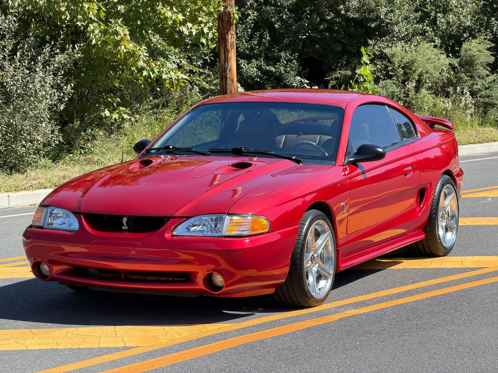 1996 Ford Mustang for sale in Sewell New Jersey