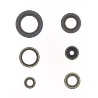 Serie Parolio Motor KTM SX 65 2024 FüR KTM 65 SX 2024-2026 2T