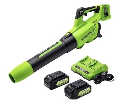 Greenworks 48V 585 CFM Cordless Leaf Blower 2x24V w/ 2 Batteries & Charger