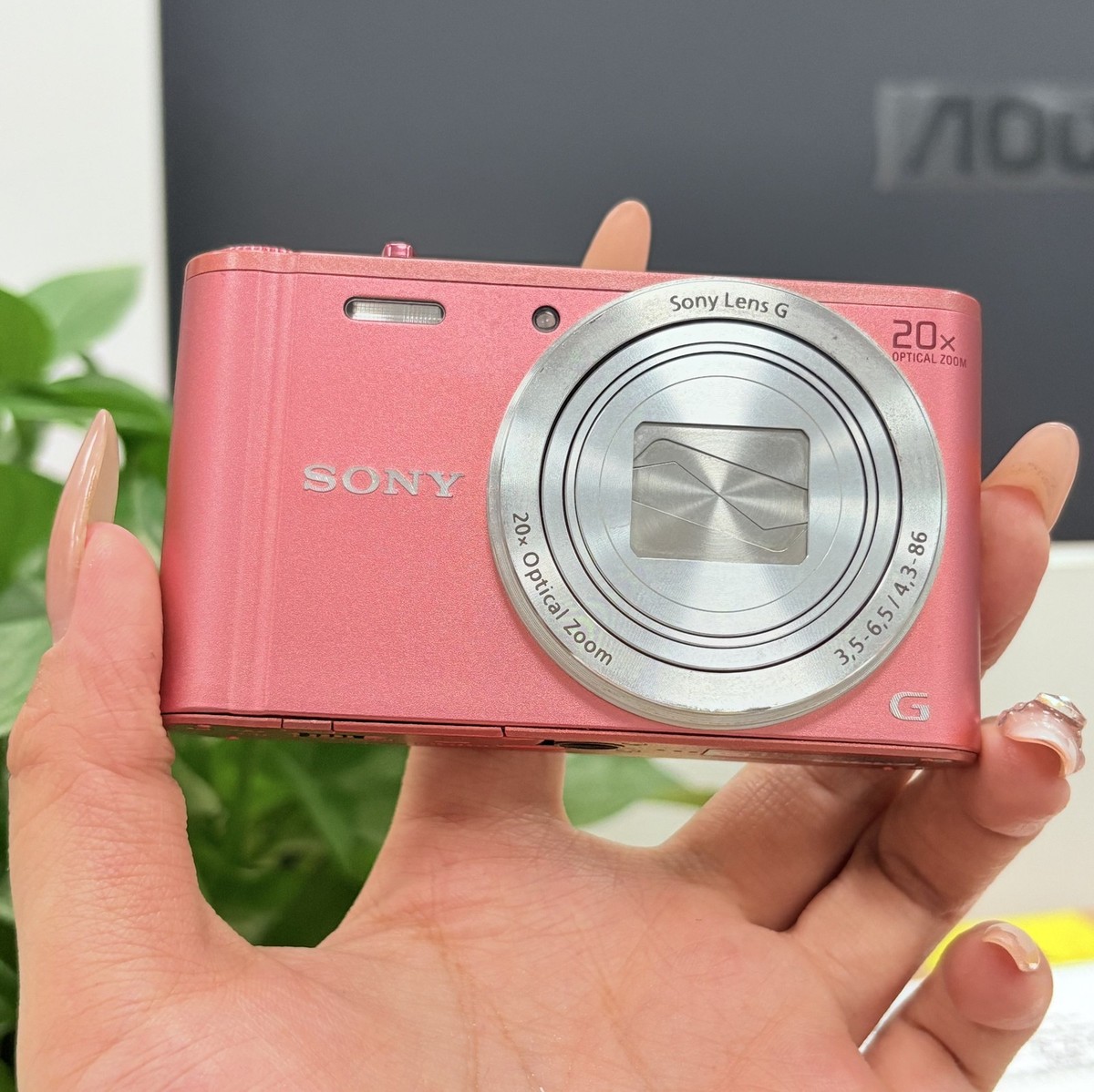 SONY Cyber-shot DSC-WX350 18.2 MP 20x Digital Zoom Digital Camera