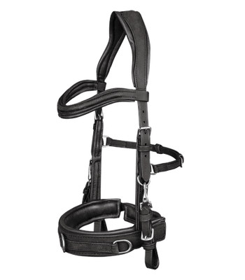 Lederkappzaum Anatomic