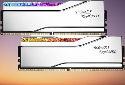 G.SKILL Trident Z5 Royal Series 32GB (2 x 16GB) 288-Pin PC RAM DDR5 6000 (PC5 48