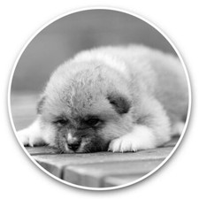 2 x Adesivi Vinile 20cm (Bw) - Rosso Giapponese Akita Inu Cucciolo Cane #35418