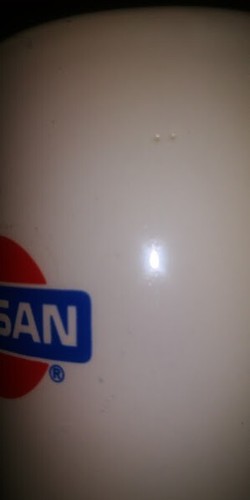 Nissan/Datsun Classic Logo White Ceramic Coffee Mug Tea Cup Was Displayed JDM - Picture 9 of 10