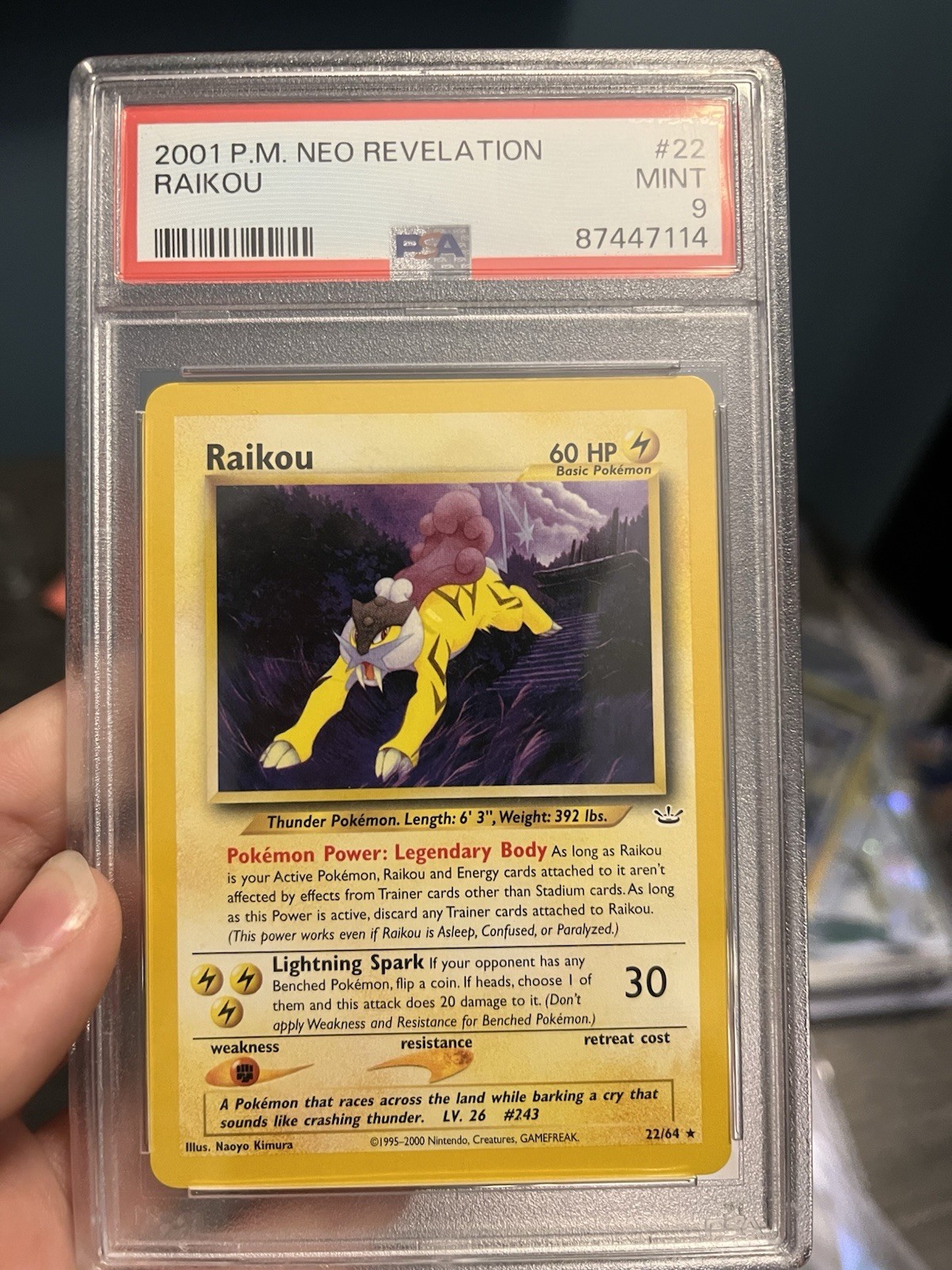 Raikou 22/64 Neo Revelation Regular