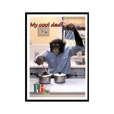 1995 PG Tips The Secret Diary of Kevin Tipps November 14 #nan