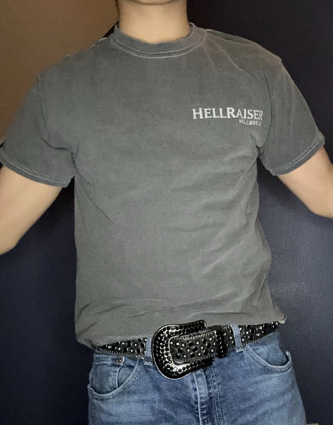 Hellraiser Hellworld Pinhead Graphic Print Gray M… - image 1