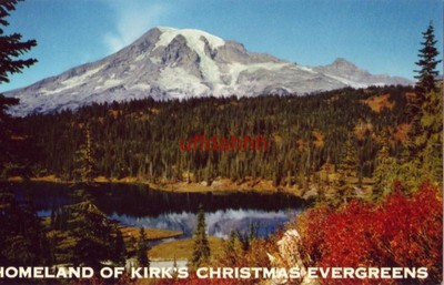 THE HIGH FORESTS OF THE PACIFIC NORTHWEST KIRK'S CHRISTMAS EVERGREENS TACOMA, WA