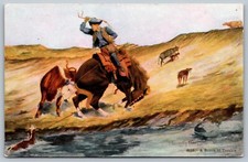 Cowboy Postcard A Bunch Of Trouble R Farrington Elwell A/S Saving Calf Horse M1