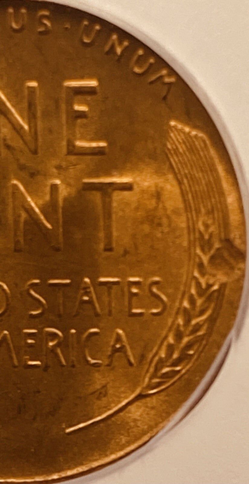 Picture 6 of 7