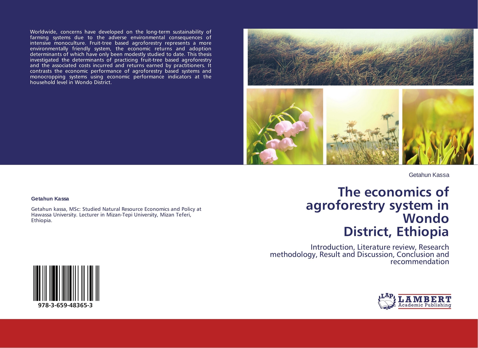 Thumbnail - Getahun Kassa | The Economics Of Agroforestry System In Wondo