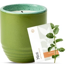 Modern Sprout Garden Vibes 2-in-1 Soy Candle & Planter - in The Weeds Eucalyp...