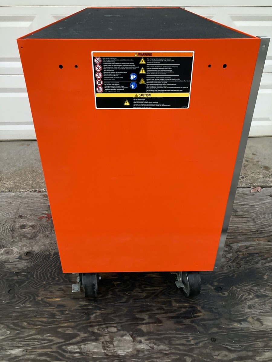 orangemizuiro Midsweet Orange (2-3 Feet) | Georgia Grown Citrus