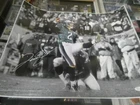 David Akers Philadelphia Eagles Signed 16x20 Spotlight Photo COA