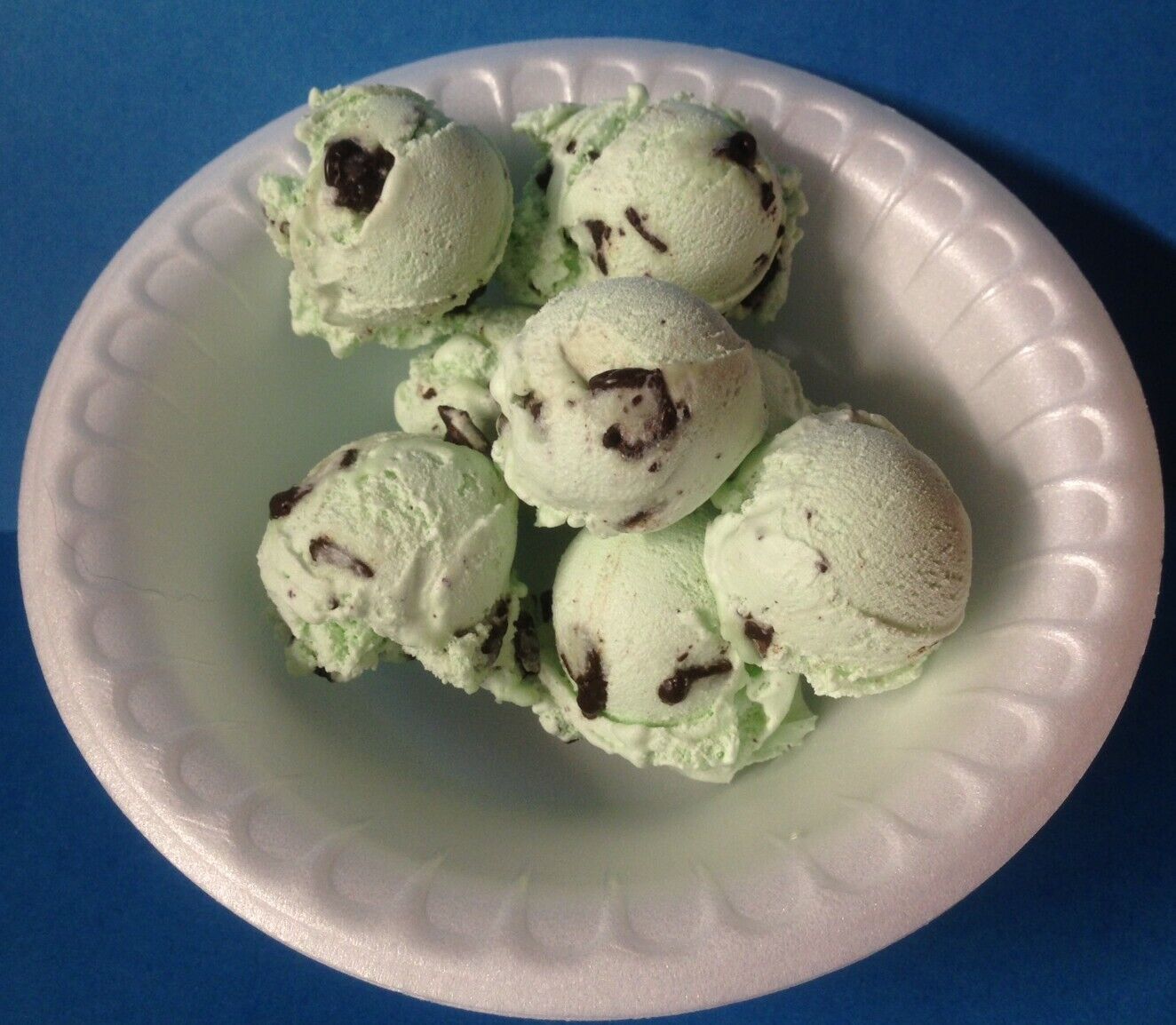 Astronaut Ice Cream Mint Chocolate Chip Freeze Dried Food 4 Packs For Sale Online Ebay