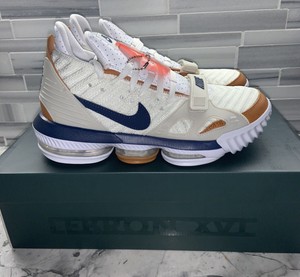 lebron air trainer