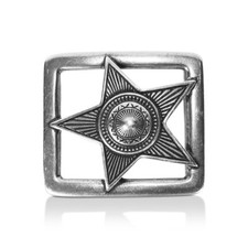 Reptile's House Belt Buckle Inxs, Silver