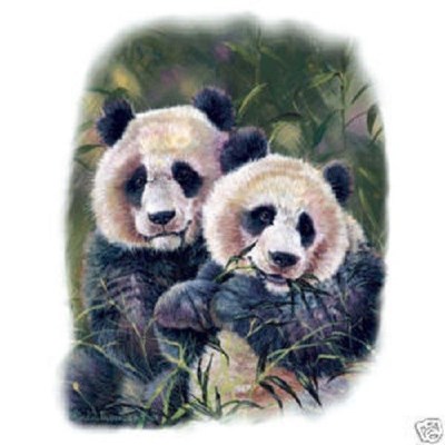 Panda Bears  Panda  Tshirt   Sizes/Colors