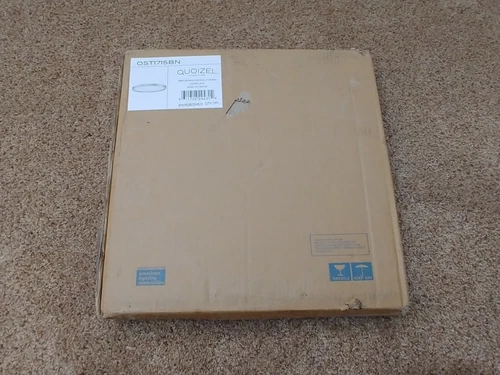 Quoizel 15" Outskirt Flush Mount, Brushed Nickel - OST1715BN - Picture 3 of 4