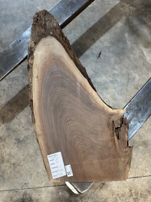 Black Walnut Slab #1961, live edge slab, unfinished, free shipping