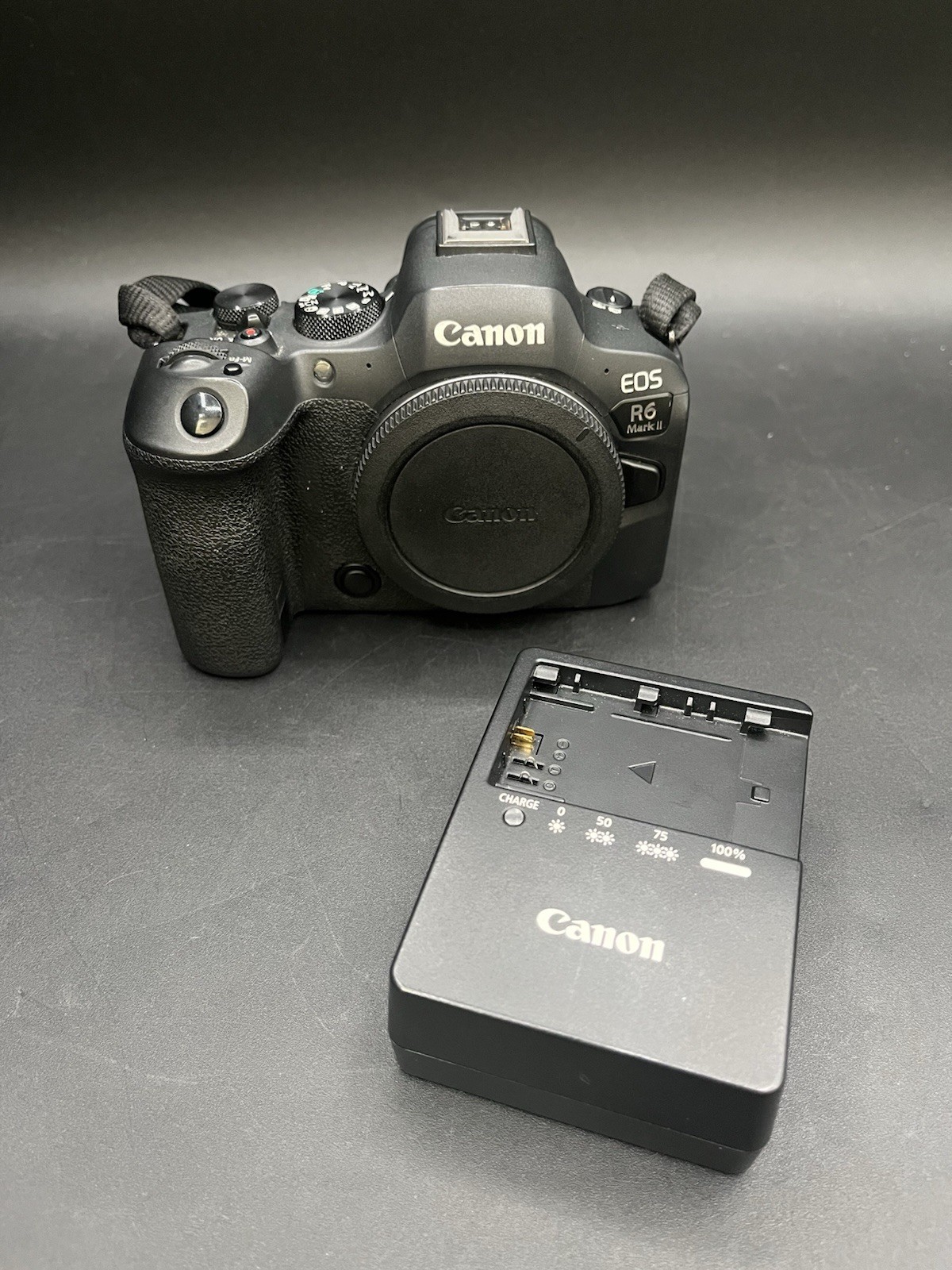 CANON EOS R6 MARK II 24.2MP MIRRORLESS CAMERA BODY DS126861