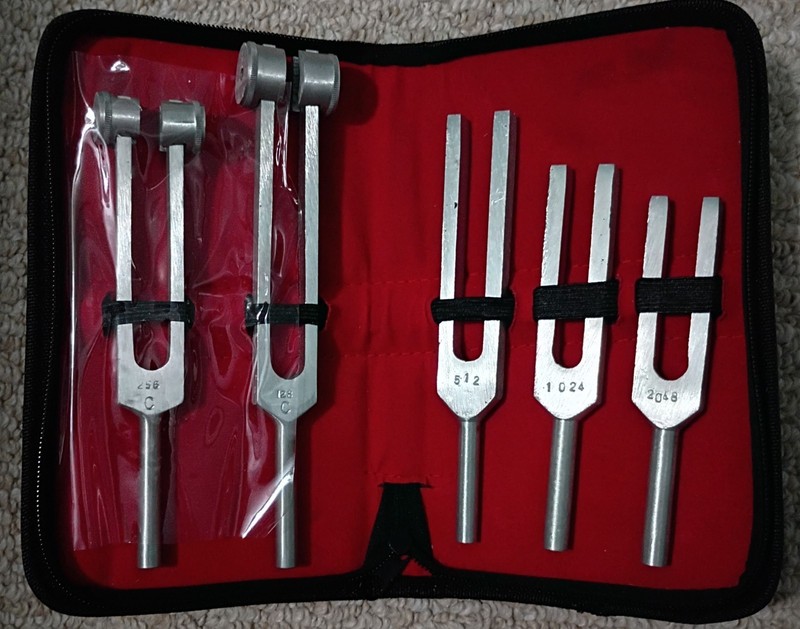 Tuning Fork Set of 5 Healing Therapy Medical Surgical Diagnostic Inst With Case