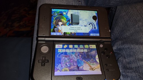 Paws & Claws Pampered Pets 2 - Nintendo DS - Picture 3 of 5