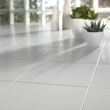 white wall/floor tiles