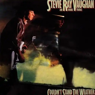 Stevie Ray Vaughan - Couldn'T Stand the [UK-Import]