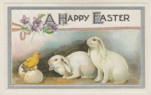 Cute-White-Bunny-Rabbits-with-Chick-Antique-Easter-Postcard-p553