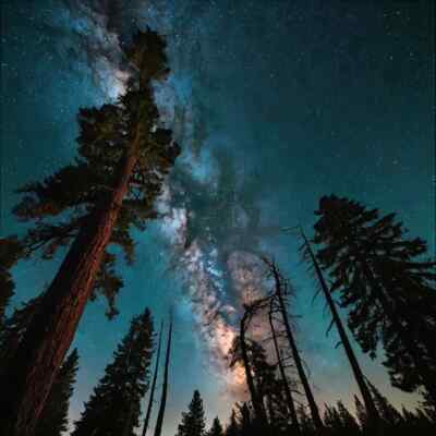 Twilight Woods Type Fragrance Oil for candle/soap making Free Shipping 