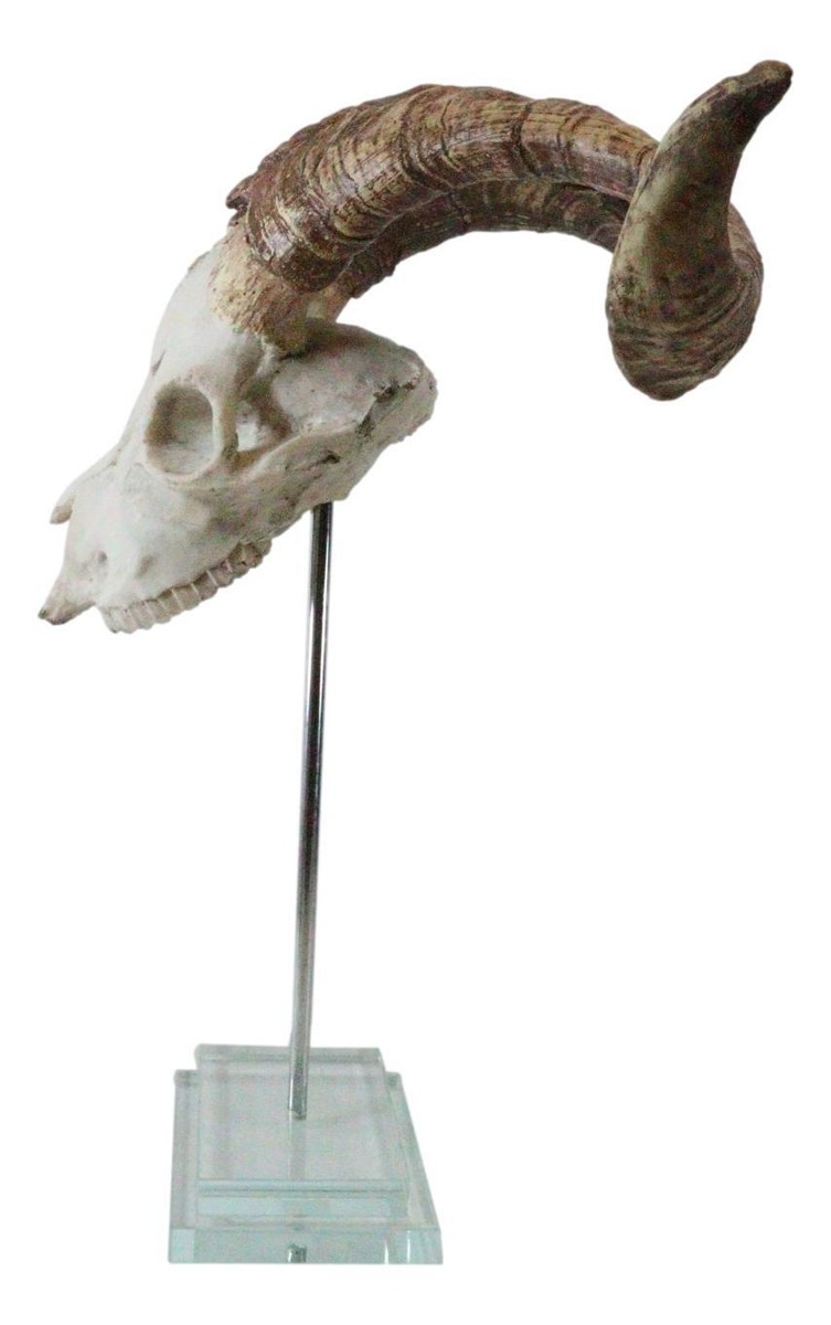 Rustic Western Valais Blackneck Billy Goat Skull Plaque Glass Base