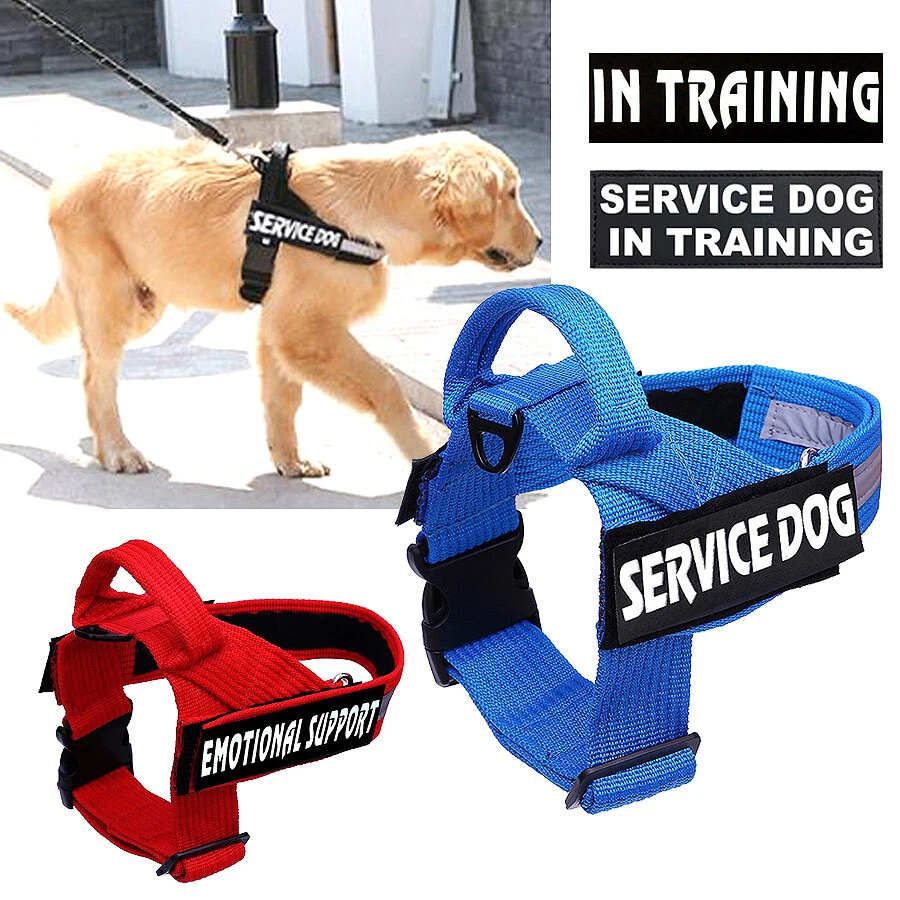 Shop No Pull Reflective Service Dog Harness - German Shepherd Shop