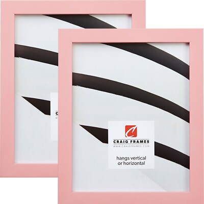 Craig Frames Confetti, .875 Inch Wide Modern Light Pink Picture Frame 2-Pack