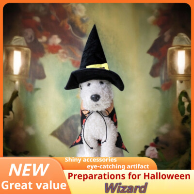 Pet dressing Halloween clothing Witcher cloak set dog clothes