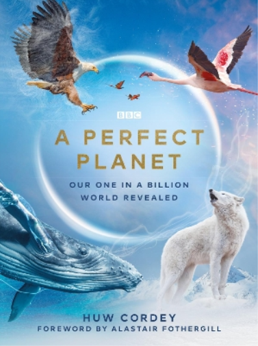 Huw Cordey A Perfect Planet (Copertina rigida)