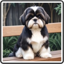 30 Custom Cute Shih Tzu on Bench Personalized Address Labels