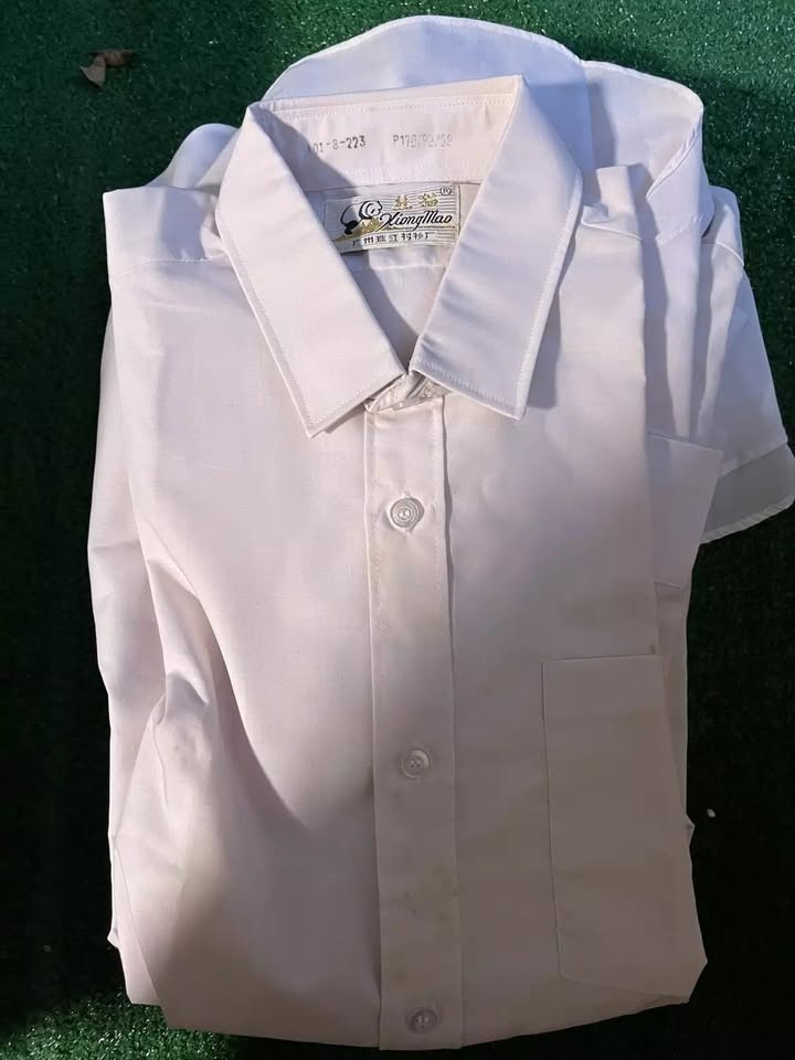 Lote De 7 Camisas De Vestir Blancas De Colección Talla S Xiongmao Panda Informales Formales