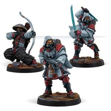 JSA, Shindenbutai Expansion Pack Beta Infinity Corvus Belli Commission Painting