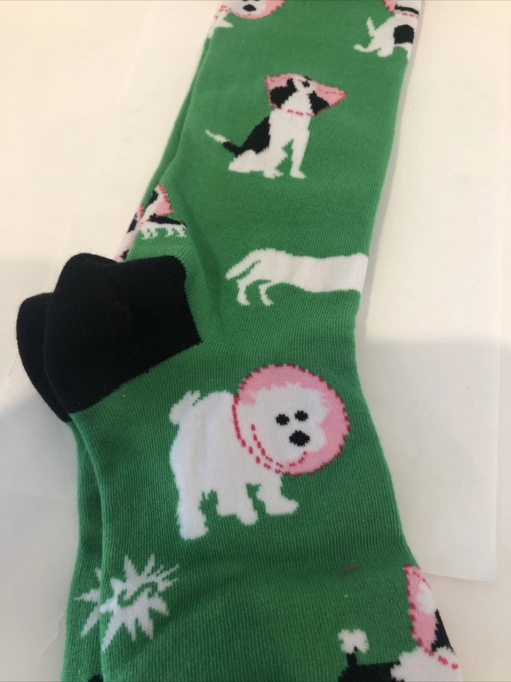 Meias Sock It To Me Joelho Alto Cone Of Shame Filhote de Cachorro Novo A28D - Imagem 3 de 4