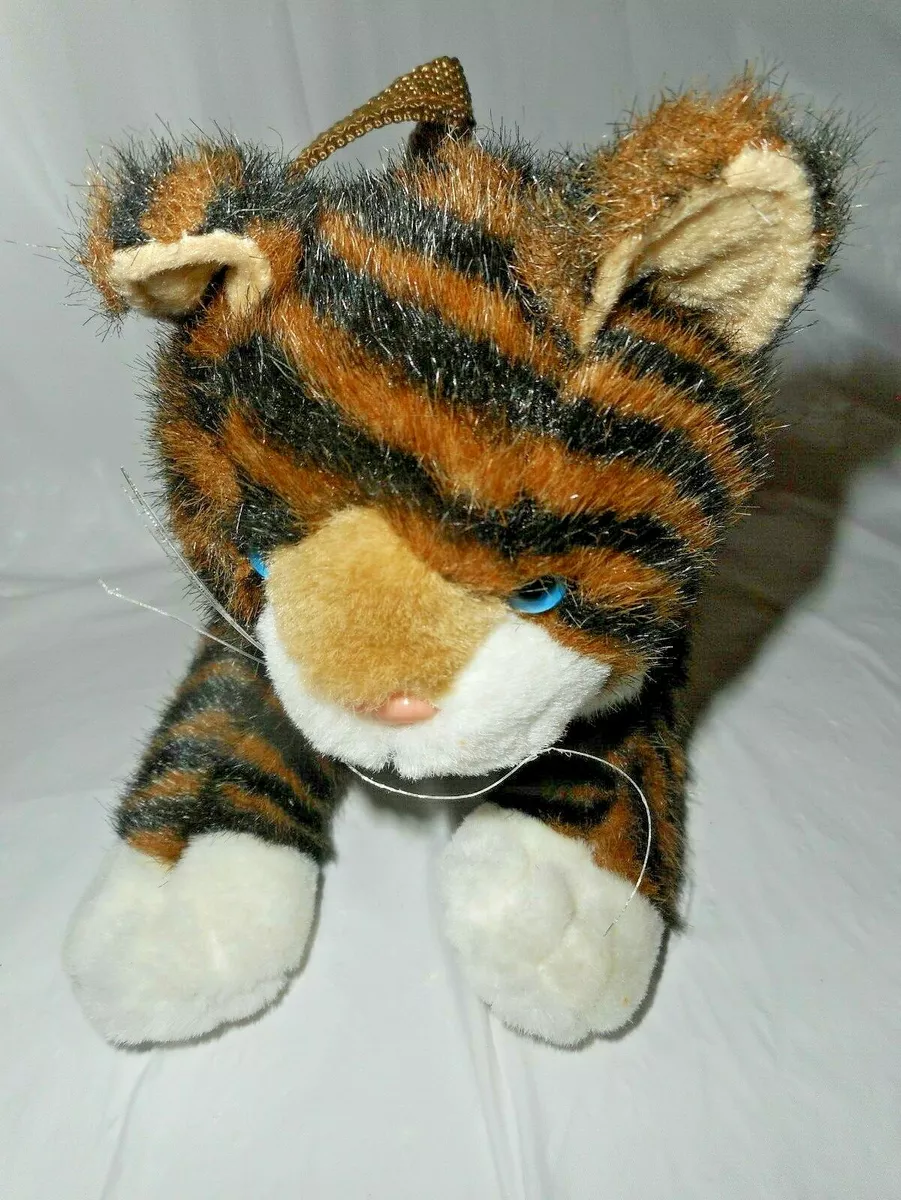 Kitten 2025 carrying pouch