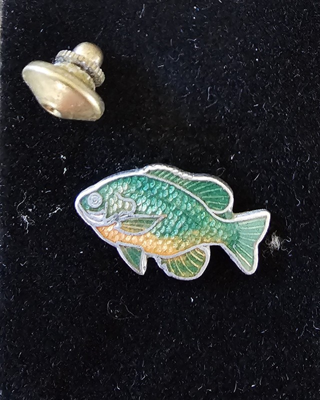 Sunfish  Blue Gill Fish Pin 